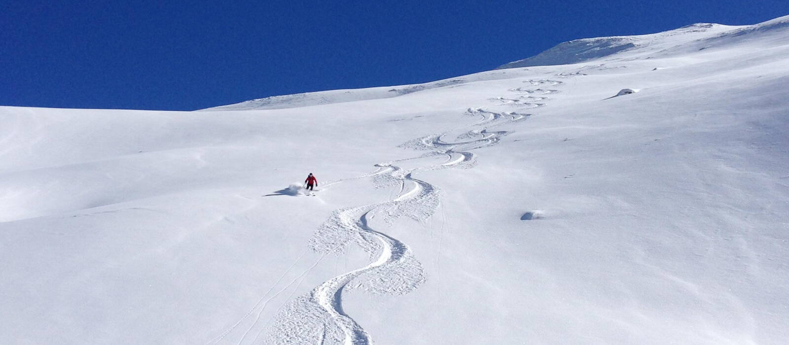 BergSkiFührer Christoph Garber Zillertal