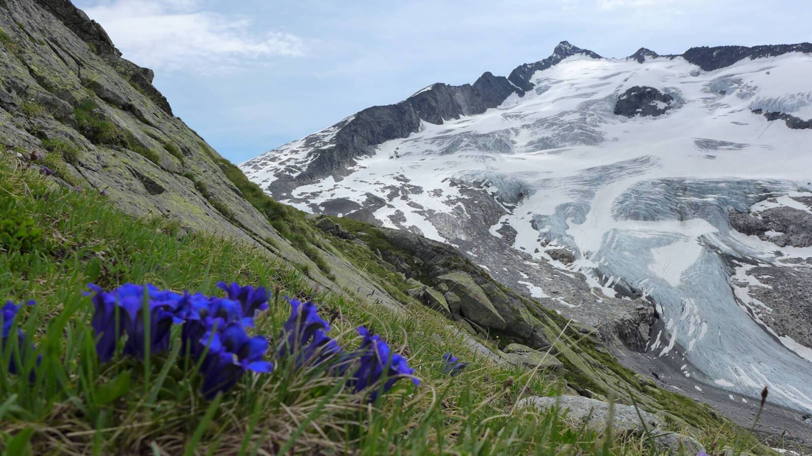 Großvenediger 3657m