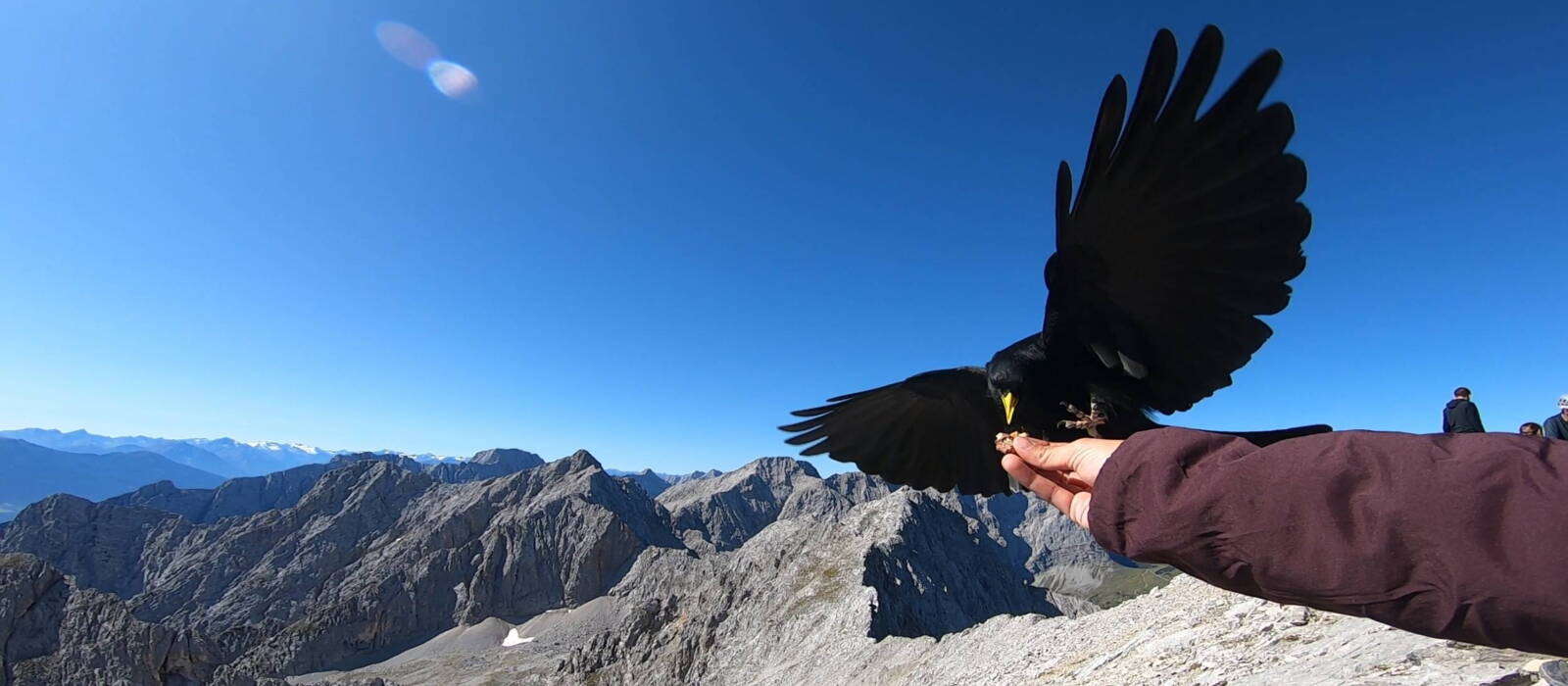 BergSkiFührer Christoph Garber Zillertal