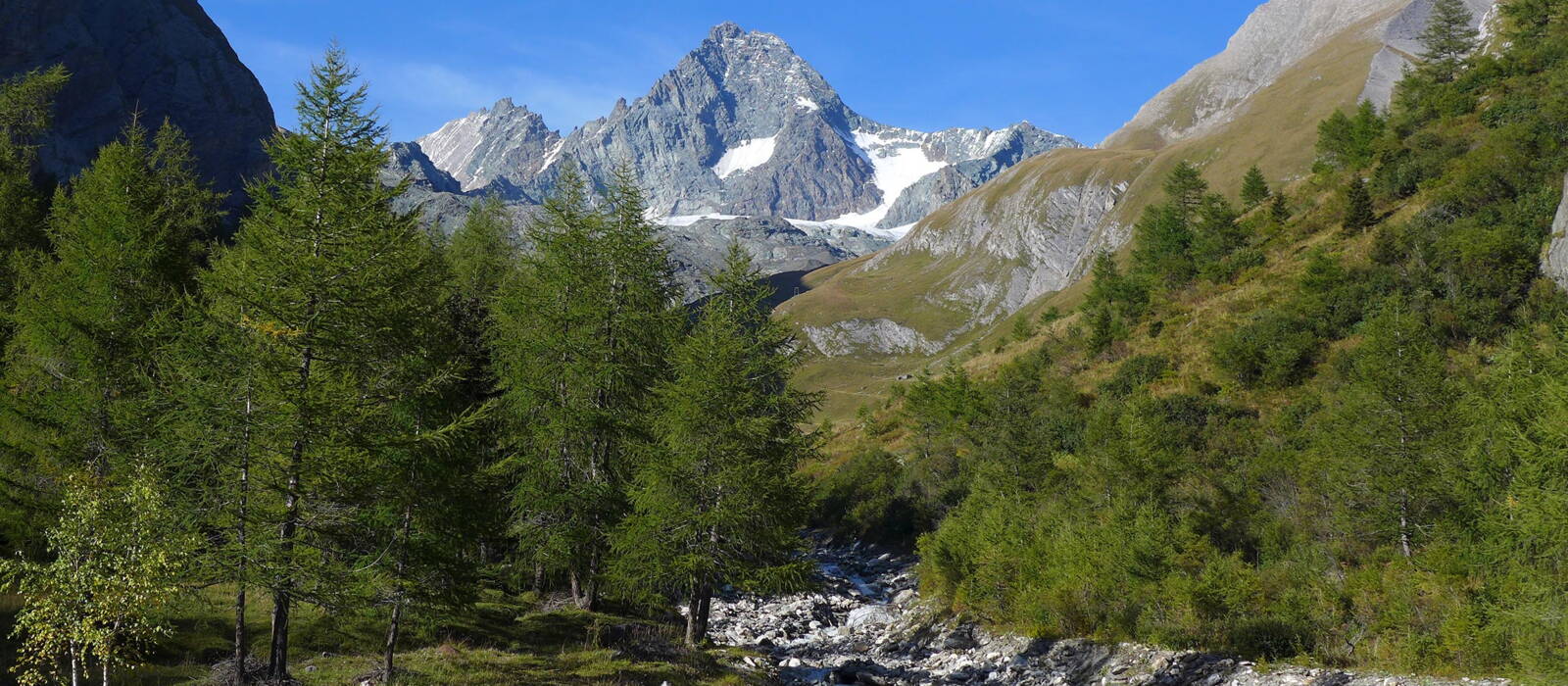 BergSkiFührer Christoph Garber Zillertal