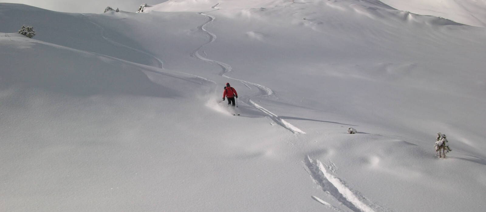 BergSkiFührer Christoph Garber Zillertal