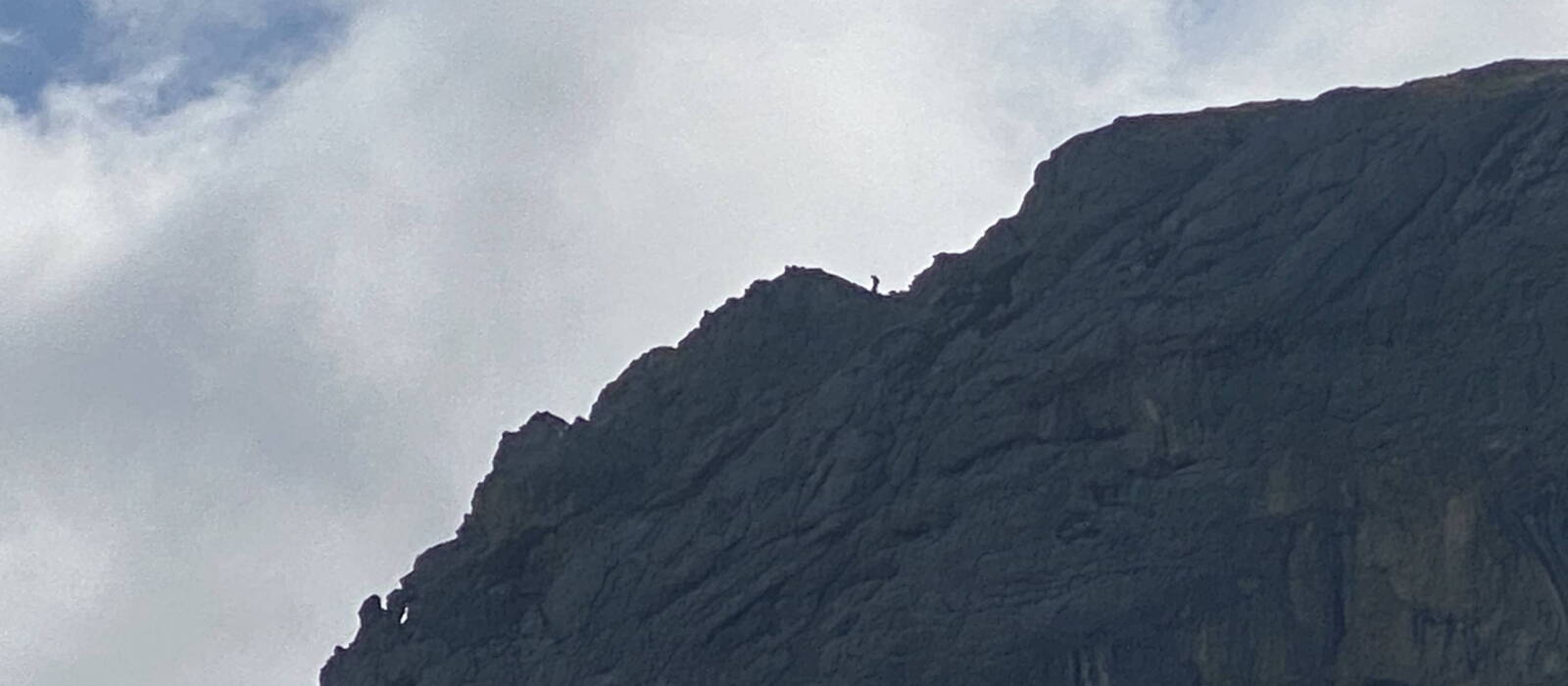 BergSkiFührer Christoph Garber Zillertal