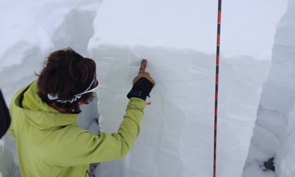 Winter courses