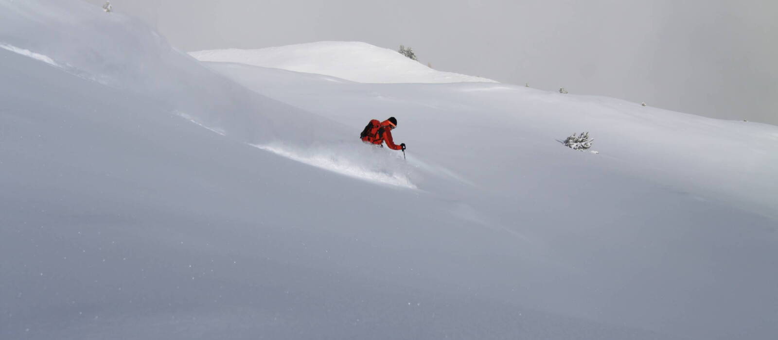 BergSkiFührer Christoph Garber Zillertal